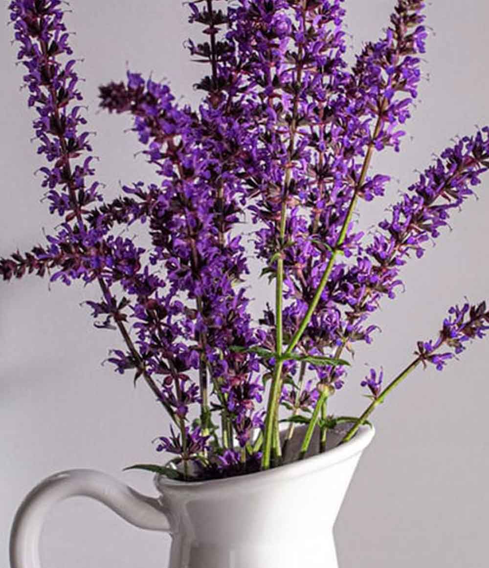 Claue Furniture Banner Lamp